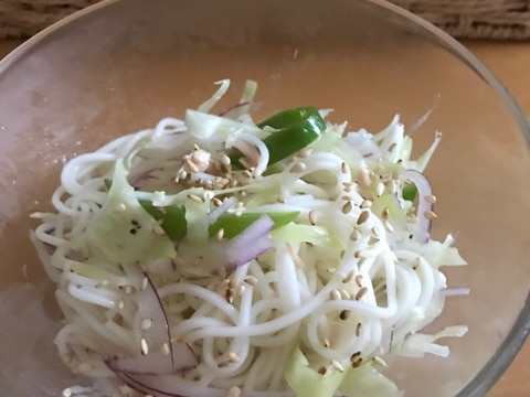 キャベツと紫玉ねぎ ピーマンのサラダそうめん レシピ 作り方 By ボンド子 楽天レシピ キャベツと紫玉ねぎ ピーマンのサラダそうめん レシピ 作り方 By ボンド子 楽天レシピ